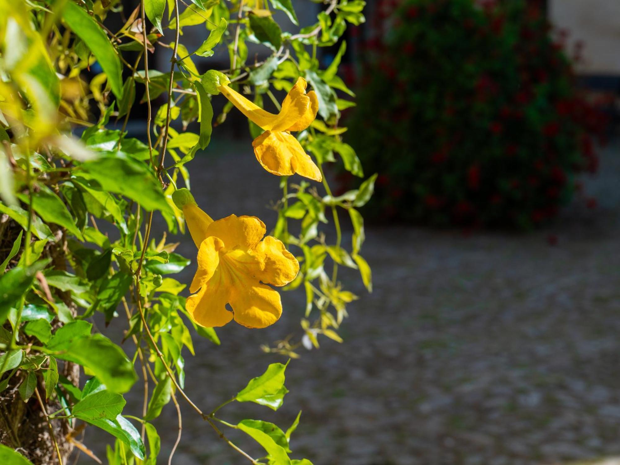 Agriturismo Baglio Fontana บูเซโต พาลิซโซโล ภายนอก รูปภาพ